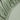 Silky Smooth split-topper sheet with hypoallergenic microfiber fabric - Forest Green