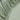 Silky Smooth split-topper sheet with hypoallergenic microfiber fabric - Forest Green